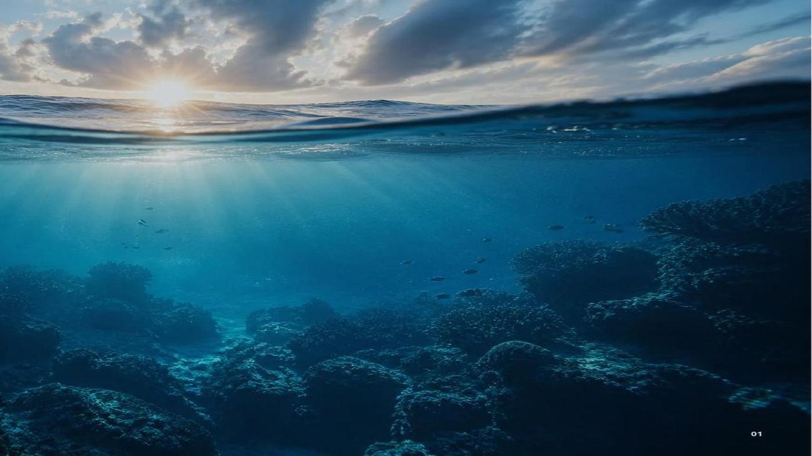 Underwater ocean scene with sunlight